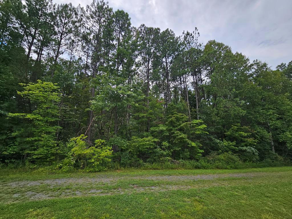 4.001 AC SLATE RIVER TRAIL, ARVONIA, VA 23004, photo 1 of 8