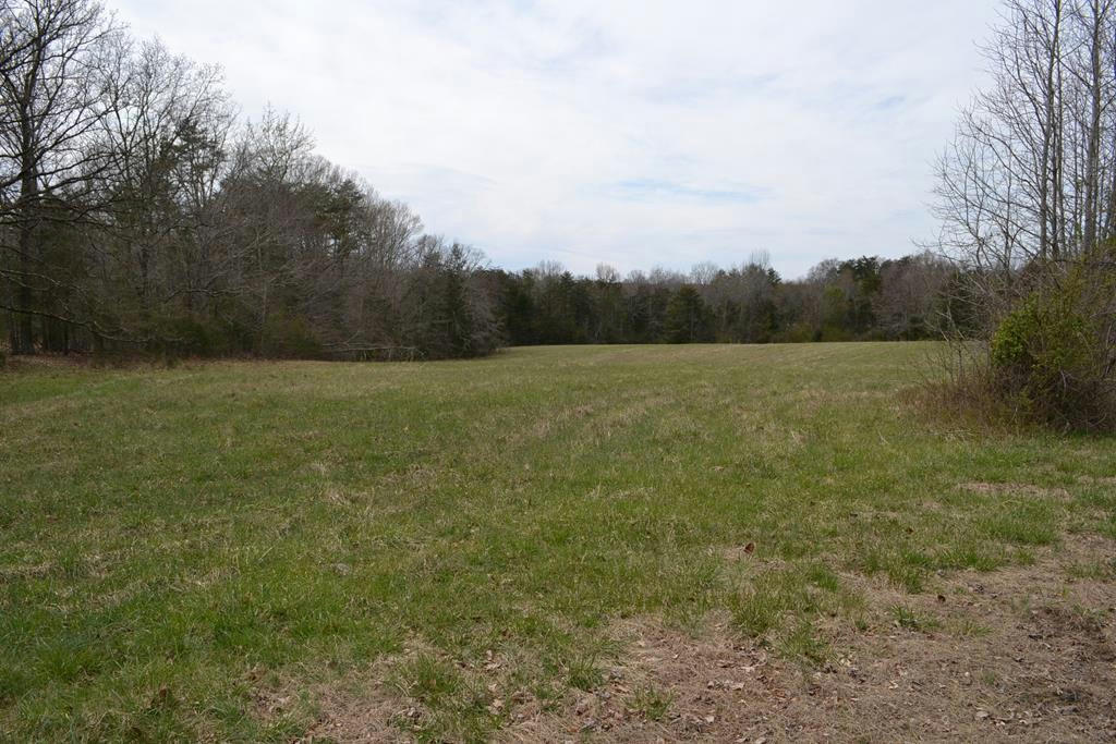 MERRIWOOD FARMS ROAD, FARMVILLE, VA 23901, photo 1