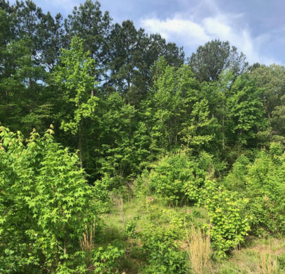 LOT C1A PASCHALL ROAD, BOYDTON, VA 33740, photo 4 of 9