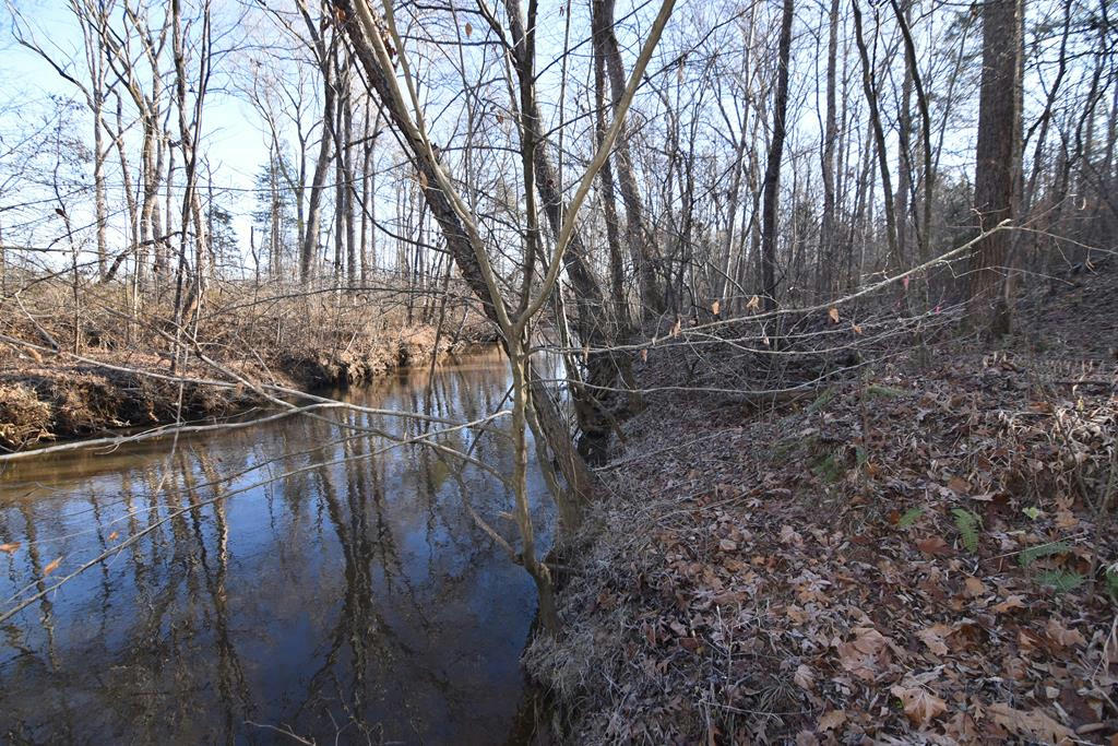 PLANK ROAD, DILLWYN, VA 23936, photo 1 of 25