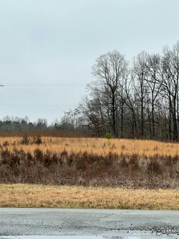 CLUSTER SPRINGS RD, ALTON, VA 24520, photo 1